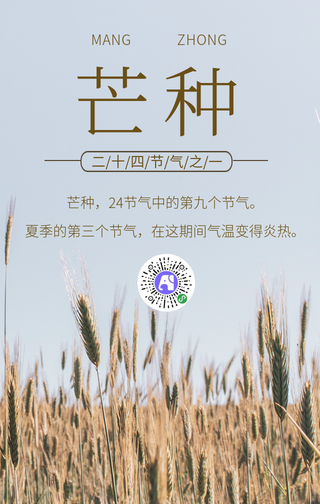 芒种二十四节气手机海报