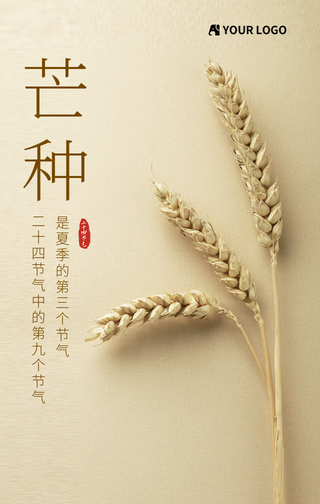 芒种二十四节气麦穗手机海报