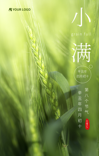 小满传统节气图文手机海报