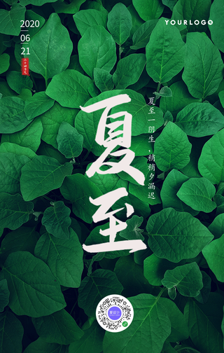 文艺清新夏至节气手机海报