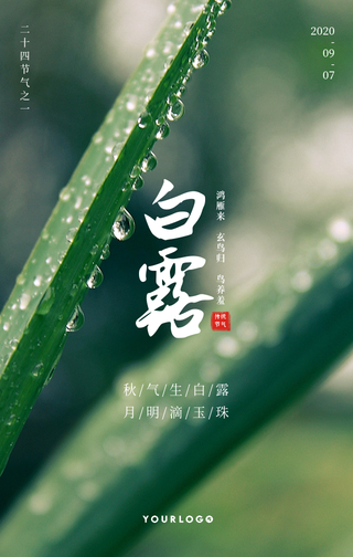 文艺清新传统节气白露手机海报
