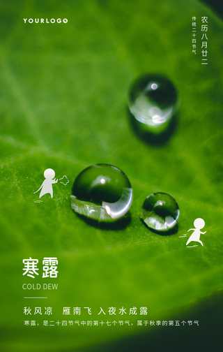 文艺清新寒露传统节气手机海报