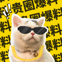 创意趣味潮流猫咪贵圈爆料公众号封面次图
