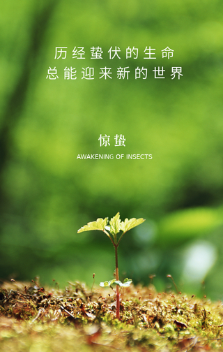 文艺清新传统节气惊蛰节气问候手机海报