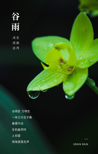 创意趣味二十四节气谷雨节气问候手机海报