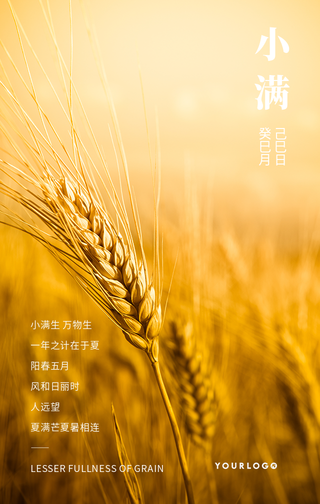 创意趣味传统二十四节气小满手机海报