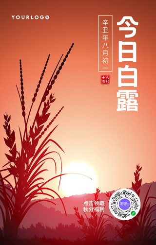 创意趣味传统节气白露手机海报