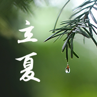 文艺清新传统节气立夏公众号封面次图