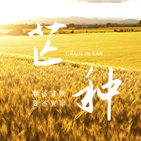 创意趣味传统节气芒种公众号封面次图