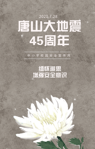 简约唐山大地震缅怀追思45周年手机海报