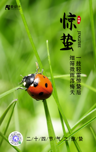 简约传统二十四节气之惊蛰手机海报