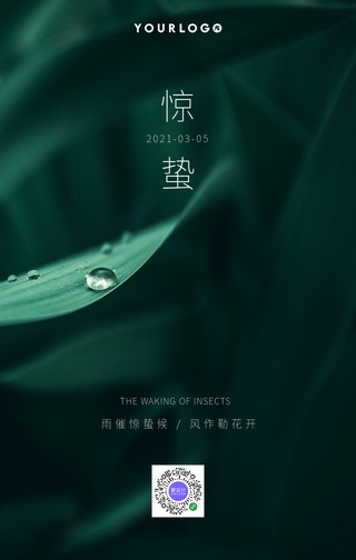 创意时尚传统二十四节气惊蛰手机海报