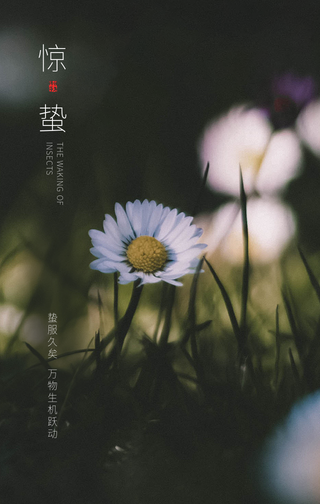 创意时尚趣味传统二十四节气惊蛰手机海报