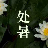 文艺清新简约处暑传统节气公众号次图