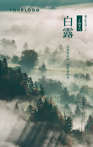 简约文艺清新白露传统节气手机海报