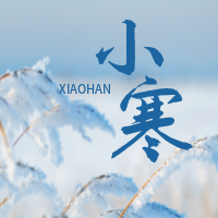 文艺清新小寒传统节气公众号次图