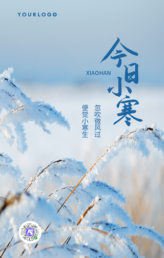 文艺清新小寒传统节气手机海报