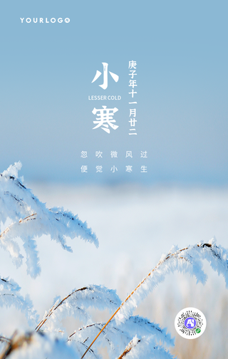 文艺清新小寒传统节气手机海报