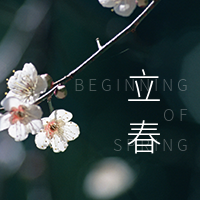 文艺清新立春传统节气公众号次图