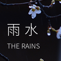 文艺清新雨水传统节气公众号次图