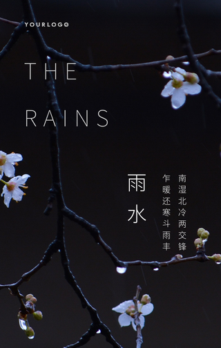文艺清新雨水传统节气手机海报