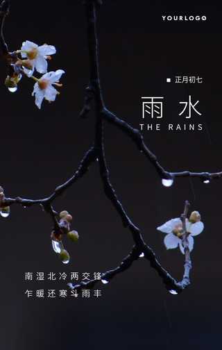 文艺清新雨水传统节气手机海报