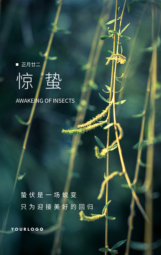 文艺清新惊蛰二十四节气手机海报