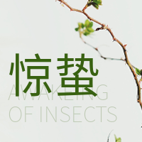 文艺清新惊蛰二十四节气公众号次图