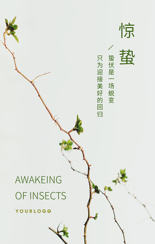 文艺清新惊蛰二十四节气手机海报