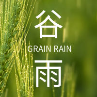 文艺清新二十四节气谷雨公众号封面次图