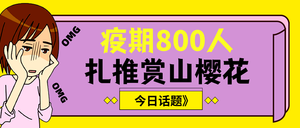 扁平疫期扎堆赏山樱花公众号封面首图