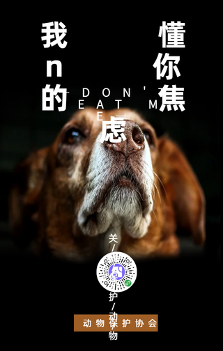 简约关爱保护动物公益手机海报