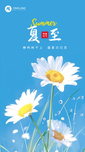 24节气之夏至海报