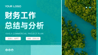 财务工作总结与分析