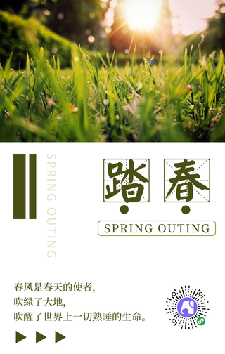 简约清新踏春手机海报