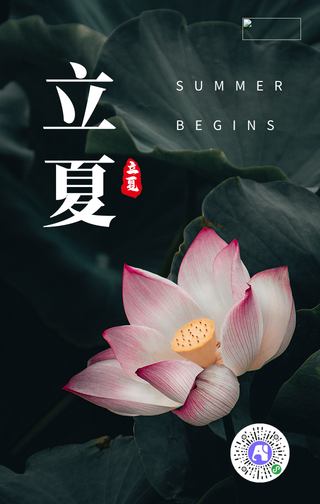 简约清新立夏手机海报