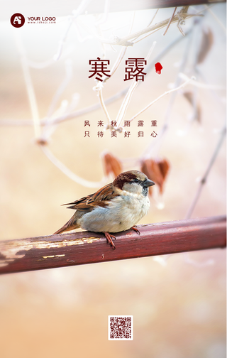 寒露节气手机海报