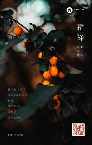 文艺清新传统节气霜降手机海报