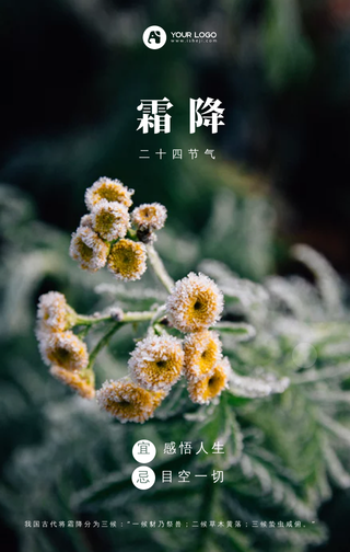 霜降二十四节气海报