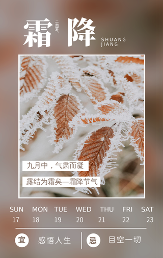霜降二十四节气海报