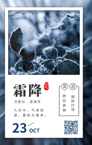 创意传统二十四节气之霜降手机海报