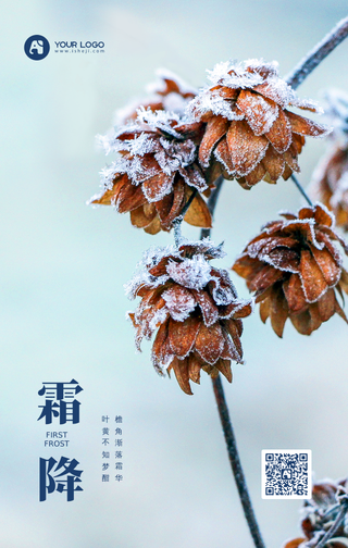 霜降节气手机海报