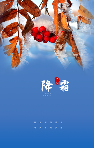 霜降节气手机海报