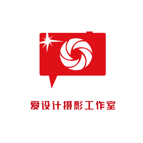 简约扁平摄影工作室通用LOGO