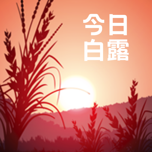 创意趣味传统节气白露公众号封面次图