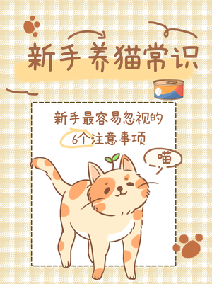 养猫攻略插画小红书配图