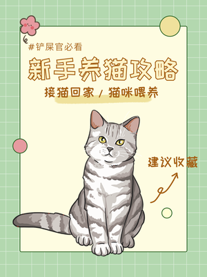 养猫攻略绿色插画小红书配图