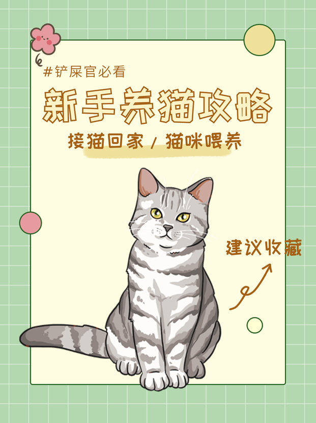 养猫攻略绿色插画小红书配图