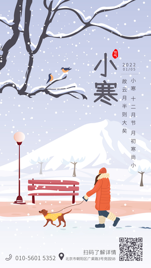 简约文艺节日节气小寒插画雪冬天手机海报