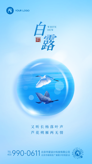 白露手机海报